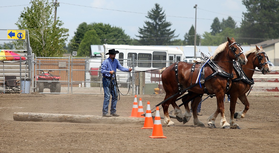 Branden Moore, of Potlatch, guides his Belgian horses through a logsled serpentine course at Friday&#146;s Idaho State Draft Horse and Mule Show at the Kootenai County Fairgrounds. (LOREN BENOIT/Press)