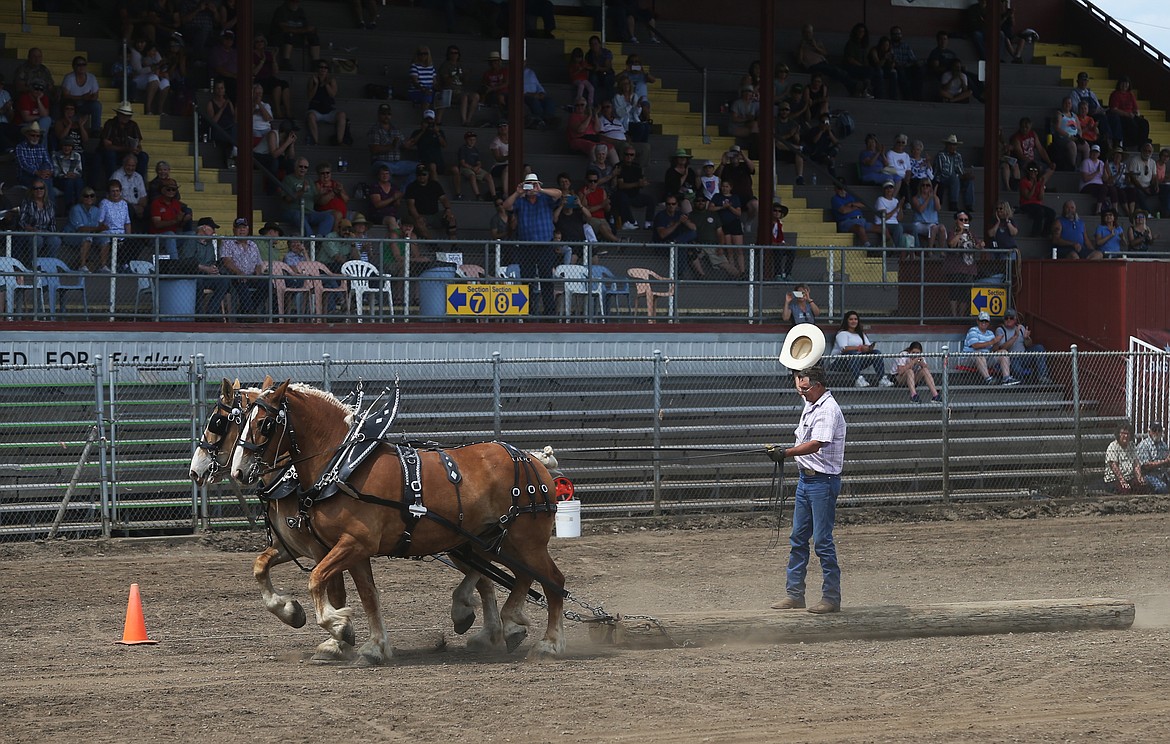 LOREN BENOIT/Press
Mike Nagel raises his leather cowboy hat into the air at the finish line of the log skid course at Friday&#146;s Idaho State Draft Horse and Mule Show at the Kootenai County Fairgrounds.