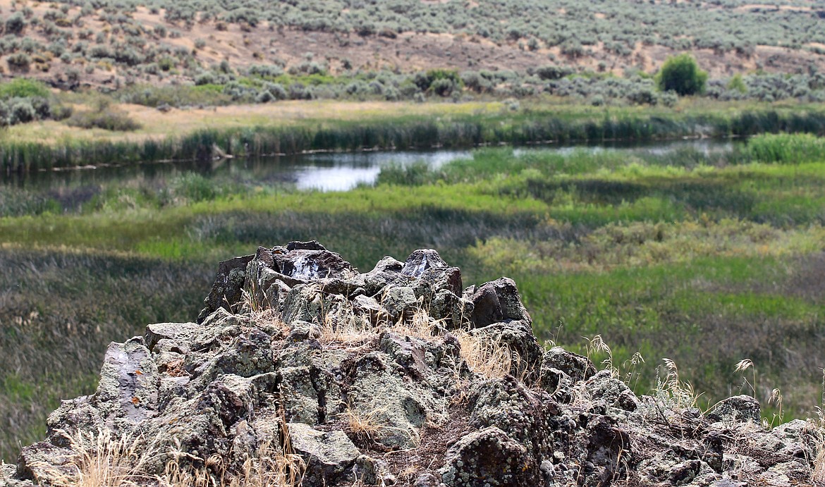 Casey McCarthy/ Columbia Basin Herald Trails allow visitors to walk along, above Crab Creek and look out at birds and wildlife below.