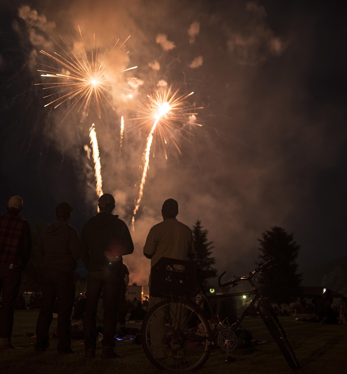 Onlooker at Troy&#146;s Old Fashioned 4th of July watch fireworks explode during a show Thursday night at Roosevelt Park in Troy. (Luke Hollister/The Western News)