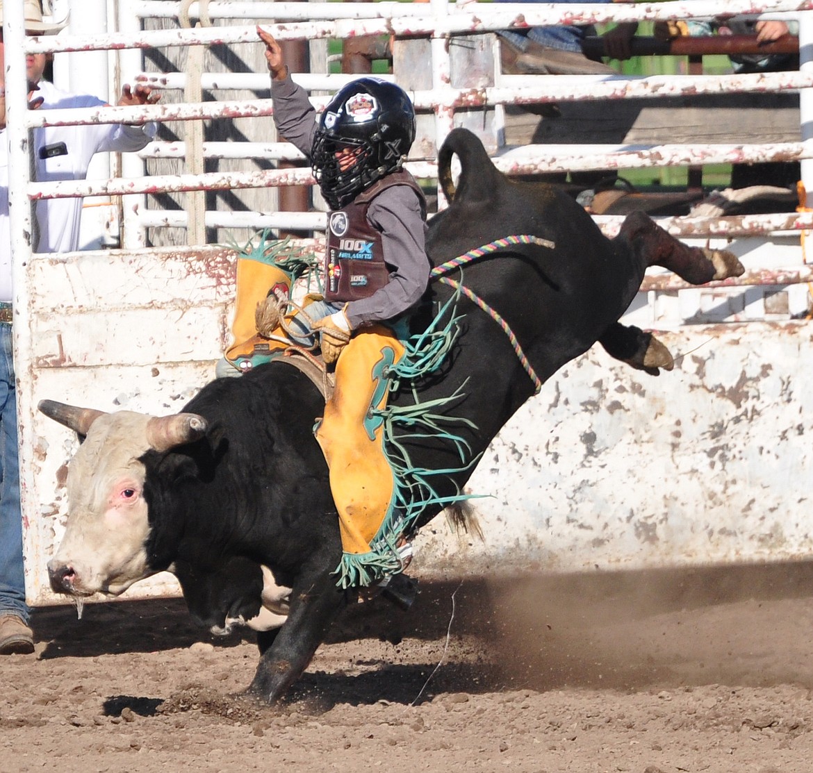 Rodee DeMers is in great form riding his mini-bull at the Mission Valley Rodeo Saturday at the Polson Fairgrounds. (photo by Marla Hall/Lake County Leader)