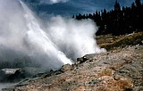 Yellowstone's Ledge geyser roars to life after three years of quiet