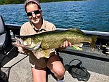 LPO walleye anglers target monitored fish in northern lake