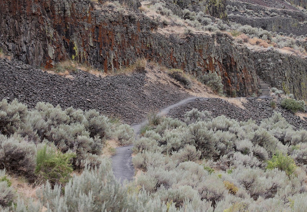 Casey McCarthy/ Columbia Basin Herald  The Lake Lenore Caves Trail circles the ridge of the Lenore Canyon providing visitors a chance to explore the caves and take in the views.