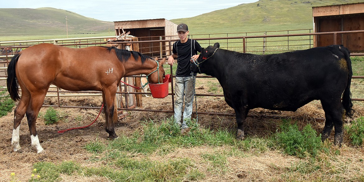 TANNER BERGH, a member of the Round Butte Future Stockmen Club, are two third generation ranch kids from Round Butte who have 4-H in their blood, feeds Nickers and Mike. (photo by Marla Hall/Lake County Leader)