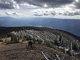 Youth mountain bike racing teams forming