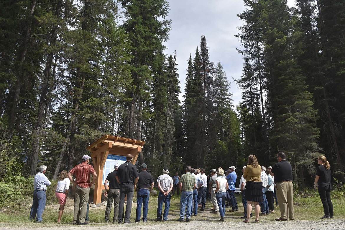 Gathered around a kiosk last week along Upper Whitefish Road in the Stillwater State Forest, a group of folks celebrated the completion of the Stillwater Forest Conservation Easement, which returned roughly 13,400 acres of forestland to state control. (Heidi Desch/Whitefish Pilot)