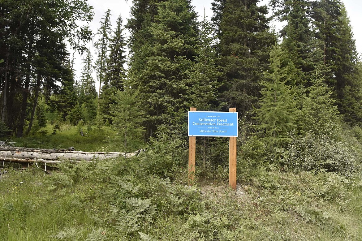 A sign along Upper Whitefish Road announces the entrance to the Stillwater Forest Conservation Easement in the Stillwater State Forest. (Heidi Desch/Whitefish Pilot)