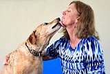 C-Falls physical therapist helping get dogs back on their feet