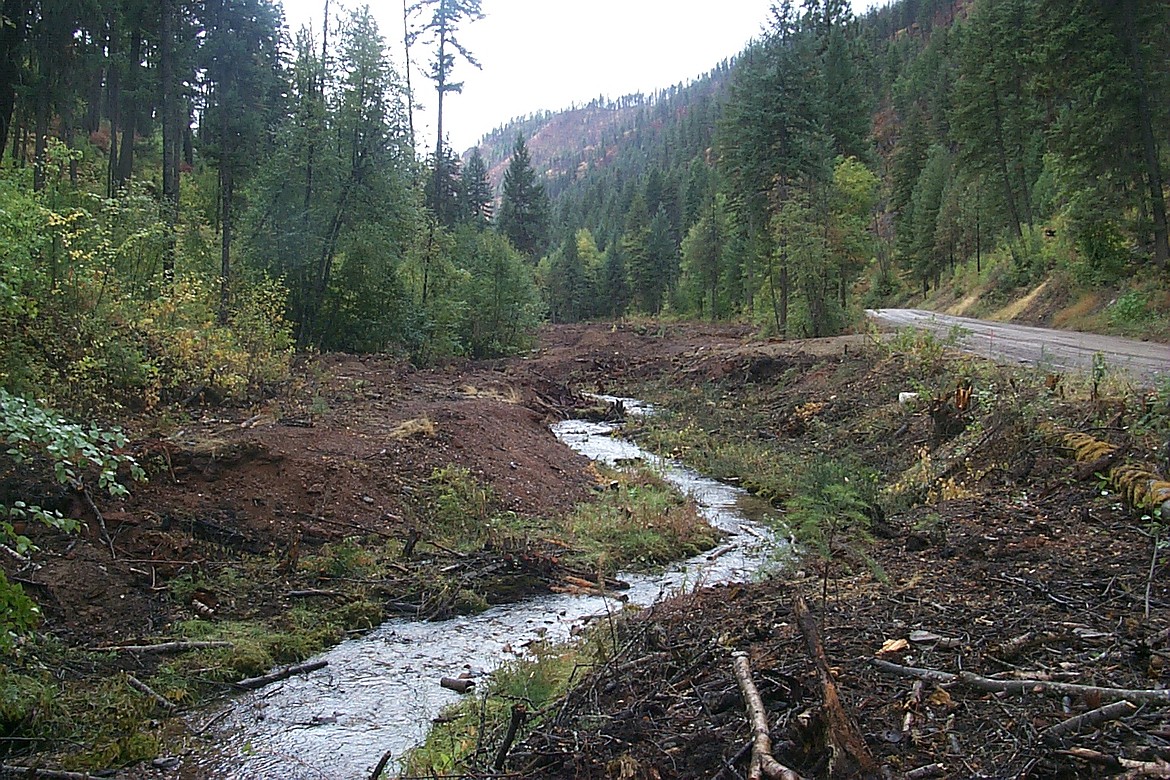 Massive Mine tailings in the Flat Creek drainage before their removal in the fall of 2017. (Courtesy of the U.S. Forest Service)