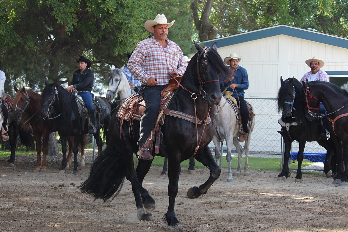 Cheryl Schweizer/Sun Tribune
Horses and their owners danced it off in the arena, to the music of a mariachi band, during Royal City Summerfest Saturday.