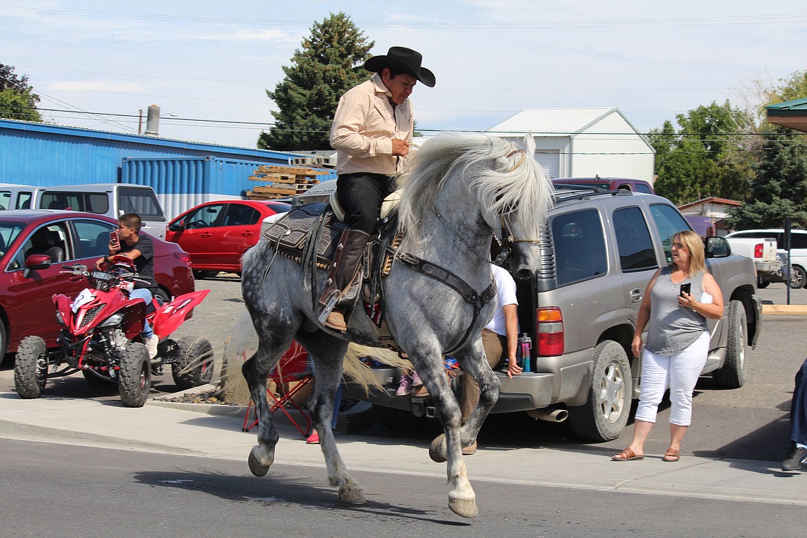 Cheryl Schweizer/Sun Tribune
Horse and rider dance down the street.