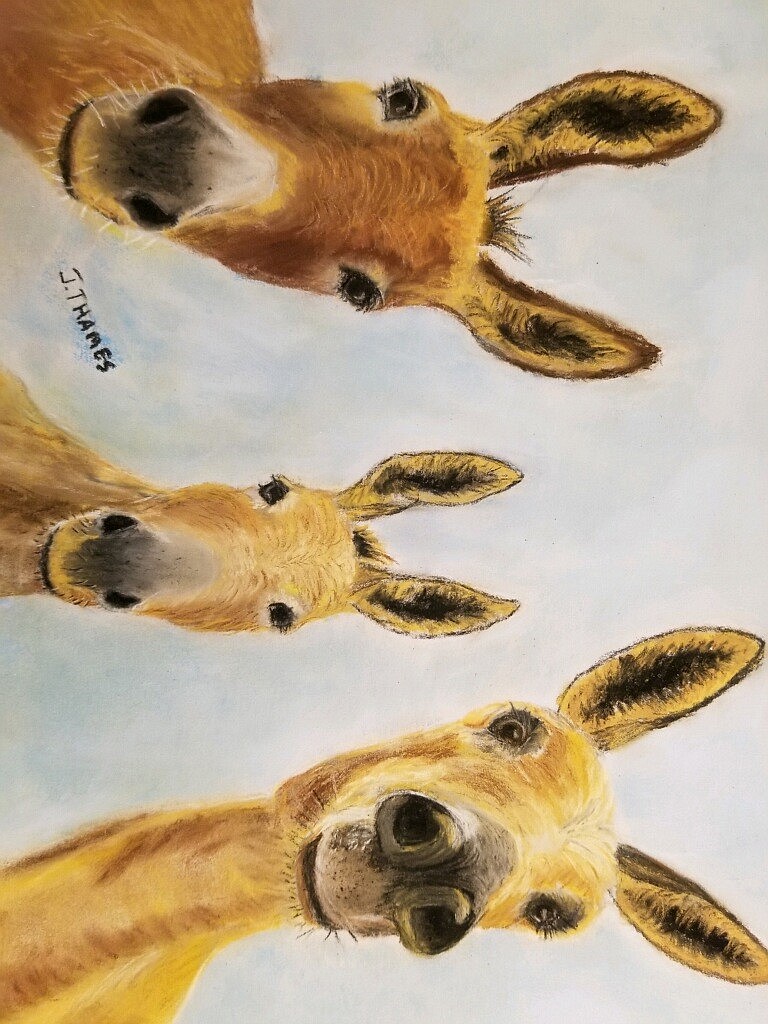 Pastels artist Juanita Thames of St. Ignatius features humorous and loving depictions of animals. This piece is titled &#147;Hickory, Dickory, and Doc.&#148;