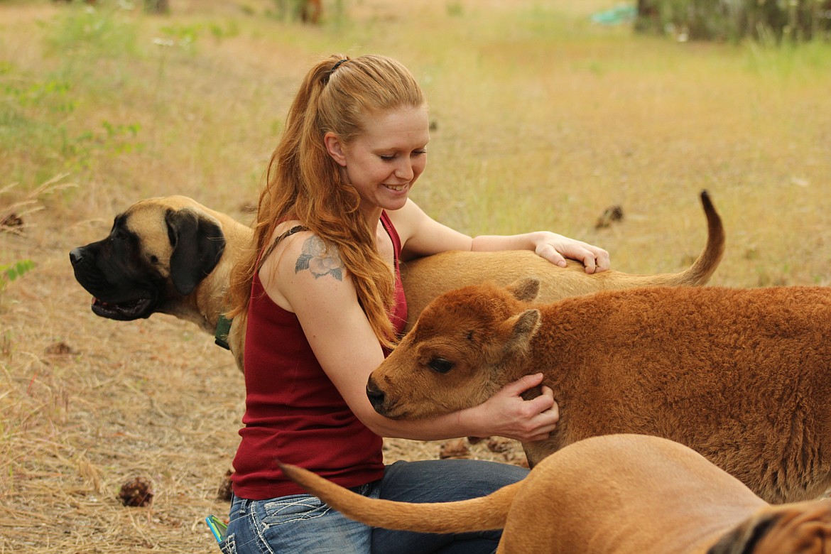 NICHOLE GLASE and the young bison, Greta. (John Dowd/Clark Fork Valley Press)