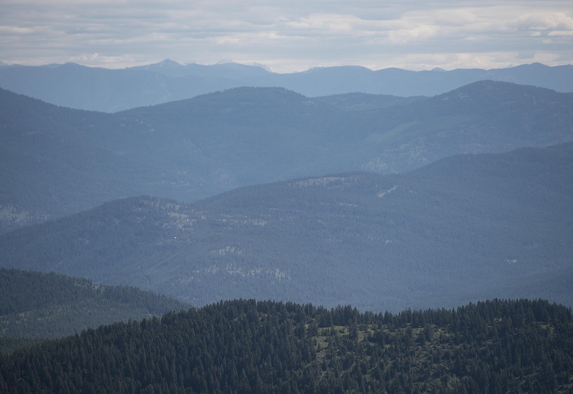 A view of the Cabinet/Yaak area facing north, toward the Yaak Valley's grizzly bear habitat, June 10 in Lincoln County. (Luke Hollister/The Western News)