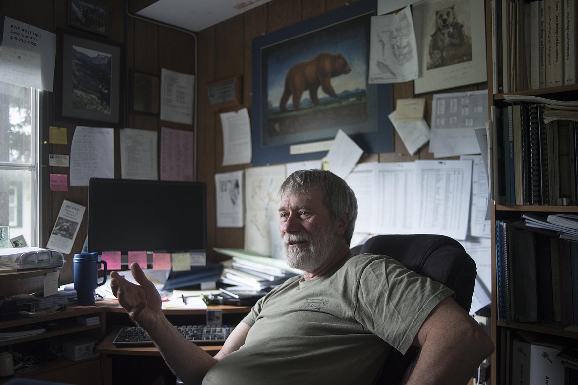 Wayne Kasworm, a grizzly bear researcher for the U.S. Fish and Wildlife Service, says not having a Pacific Northwest Trail in the first place would be beneficial to grizzly bears, Wednesday in his office in Libby. &#147;Quite frankly, if it were up to me, I&#146;d prefer not to have a trail,&#148; said Kasworm. &#147;But that&#146;s not my choice.&#148; (Luke Hollister/The Western News)