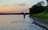 Steelhead forecast may be cause for concern