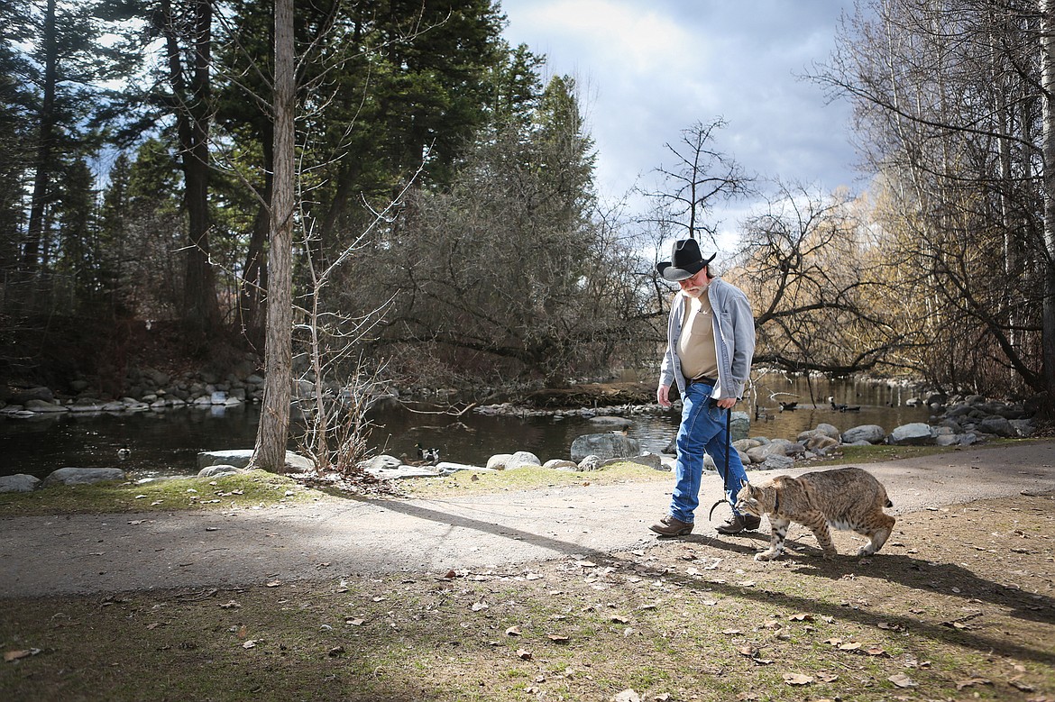 Mike Kiel takes his bobcat, Couger, for an afternoon walk at Woodland Park. Kiel keeps Couger leashed for safety reasons.  (Mackenzie Reiss/Daily Inter Lake)