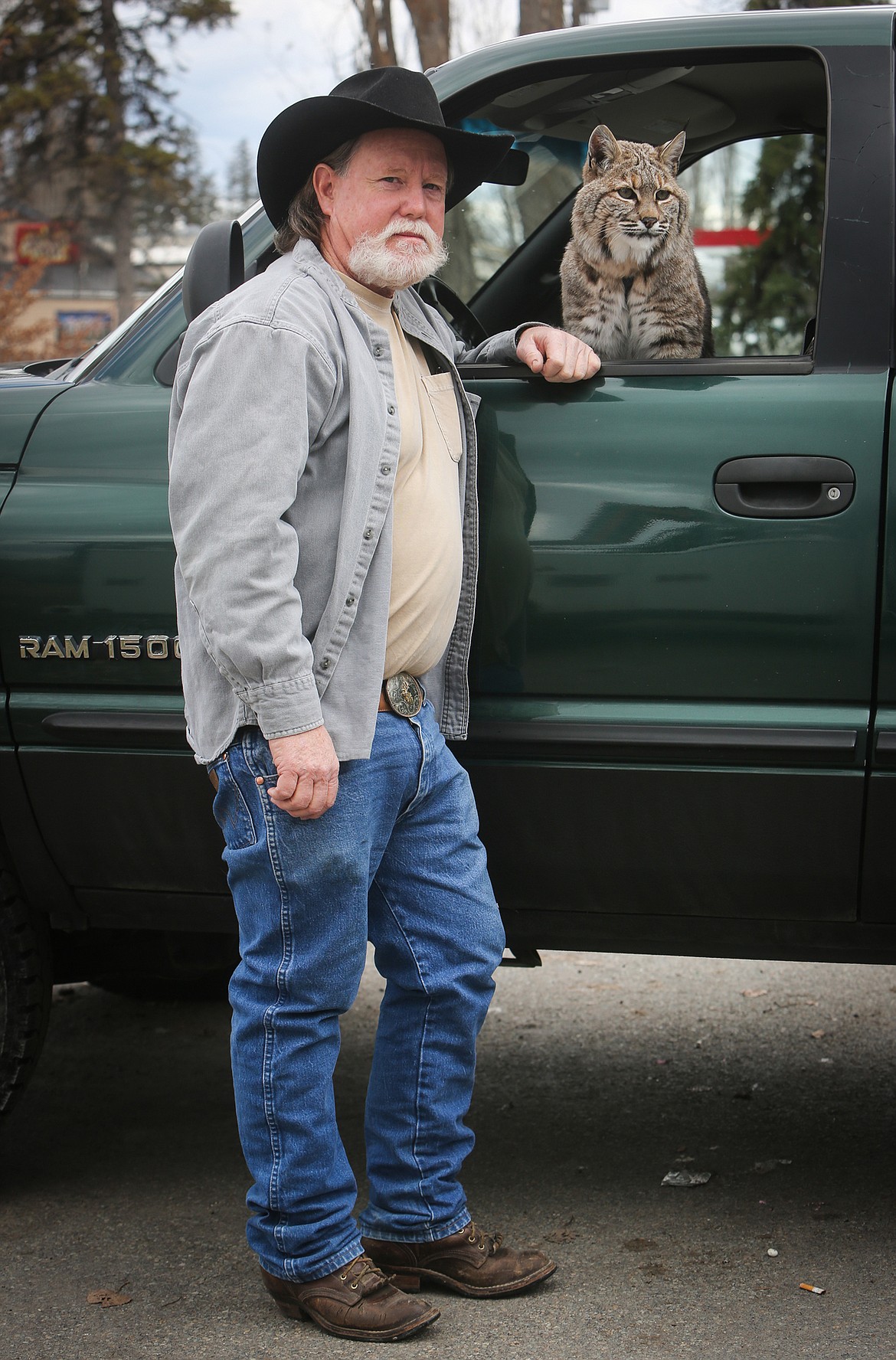 Local resident Mike Kiel and his 17-year-old bobcat, Couger, prepare to take a walk at Kalispell&#146;s Woodland Park on April 17. Kiel used to bring Couger to Glacier Park, local music events and for strolls downtown, but keeps his pet bobcat closer to home these days. (Mackenzie Reiss/Daily Inter Lake)