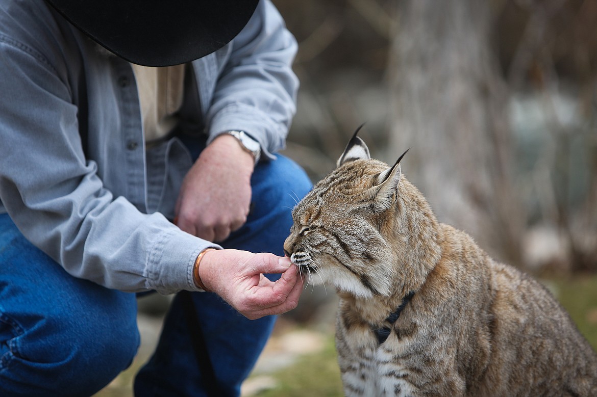 Mike Kiel takes a break during a walk through Woodland Park to feed Couger a treat. (Mackenzie Reiss/Daily Inter Lake)