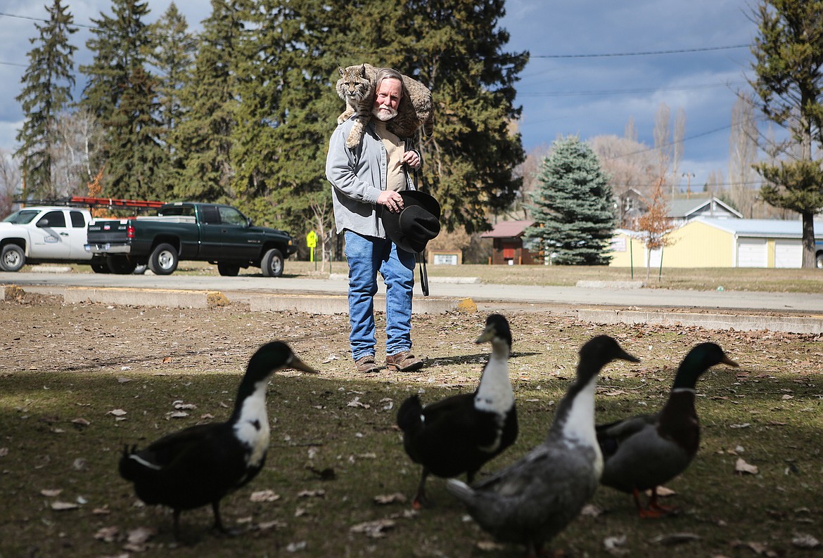 Couger eyes a group of ducks from the shoulders of his owner Mike Kiel during an outing at Woodland Park. (Mackenzie Reiss/Daily Inter Lake)