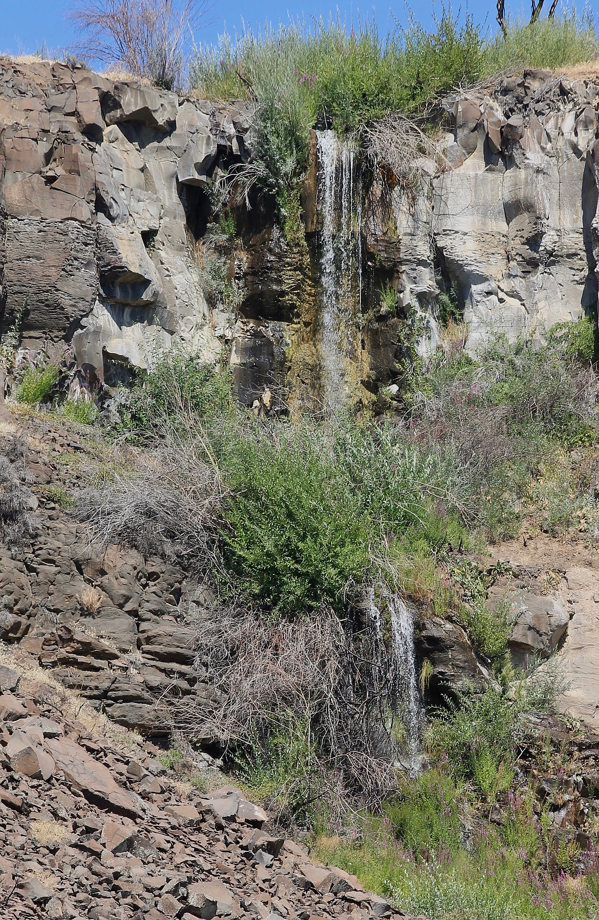 Casey McCarthy/ Columbia Basin Herald In addition to the lakes, there are waterfalls to be seen streaming over the basalt cliffsides at Ancient Lakes.