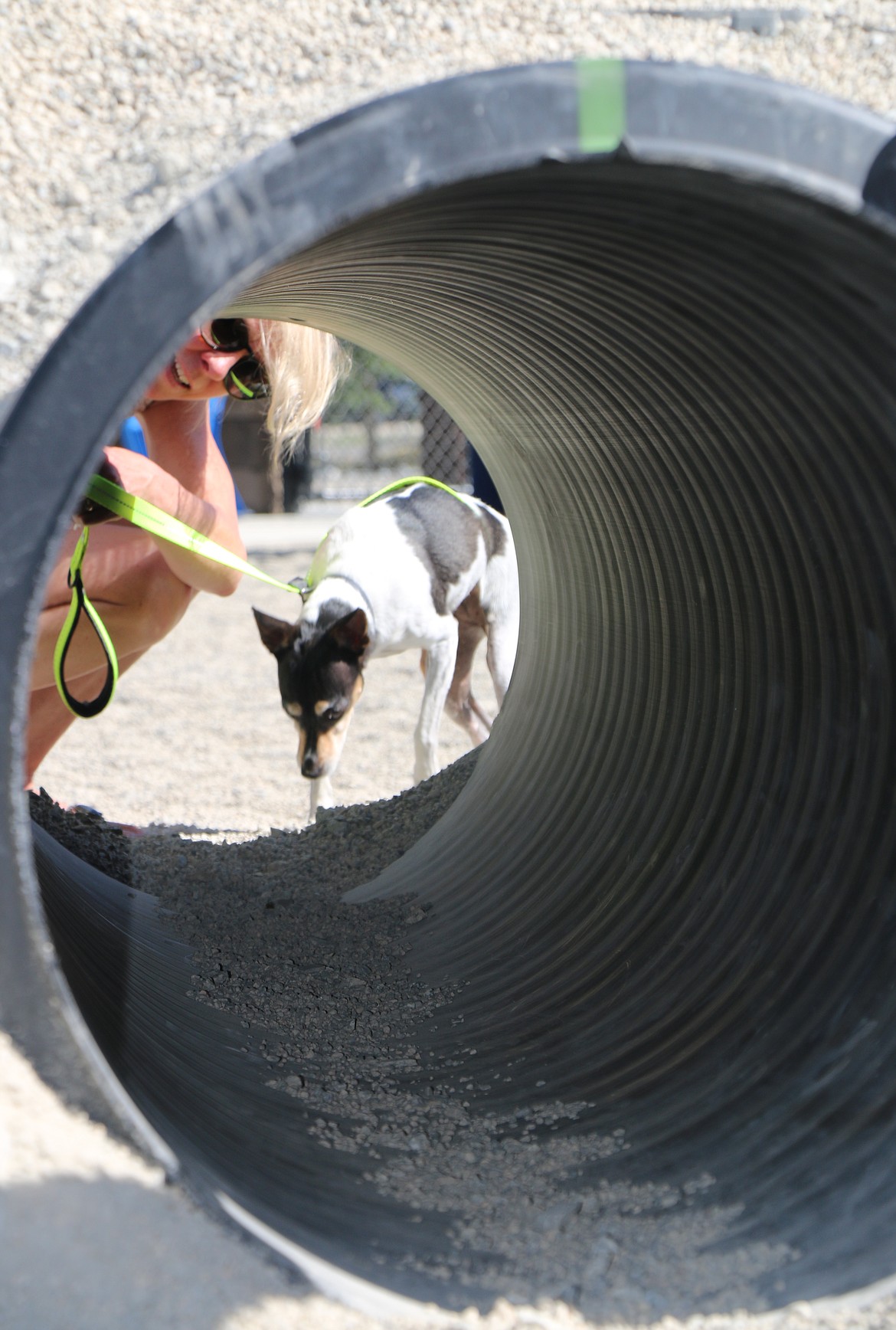 (Photo by CAROLINE LOBSINGER)
Rocket and his owner check out one of the agility training obstacles at the Ponderay Dog Park on Sunday.