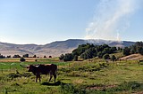 Wildfire burning south of Ronan
