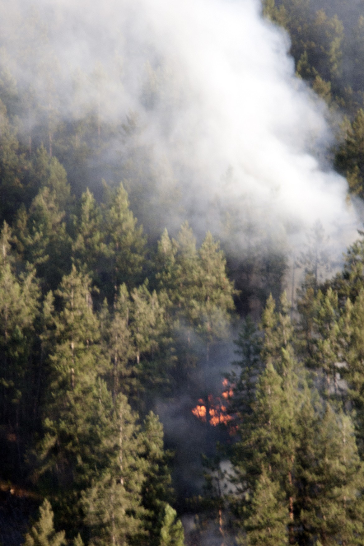 Flames could be seen in spot fires throughout the timber of the Moss Ranch fire south of Ronan.  This photo was taken from the Little Bitterroot Rd just west of Sloan's bridge.  (photo by Marla Hall/Lake County Leader)