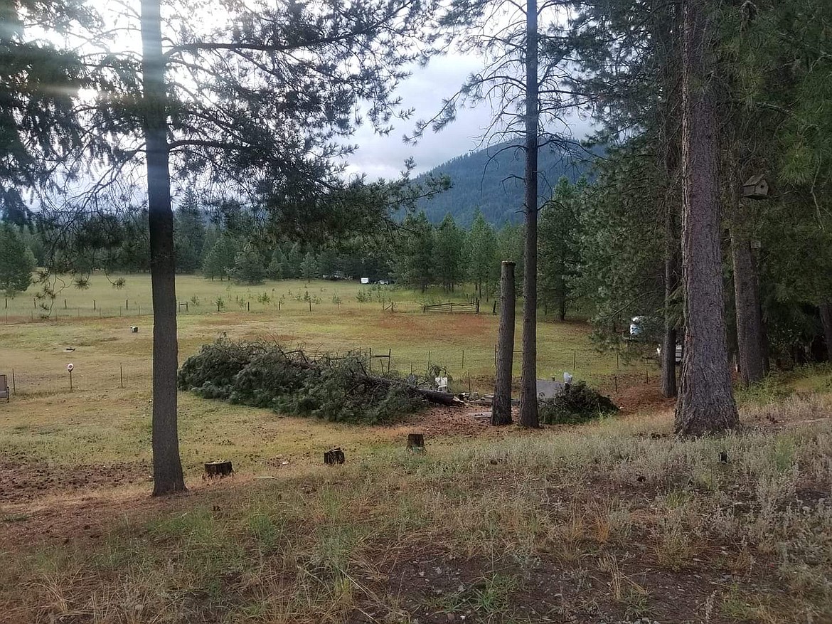 Photo by STACY THOMAS-MERRITT
The severe thunderstorm that hit late Tuesday night and early Wednesday morning, brought strong winds that took trees down across the county.