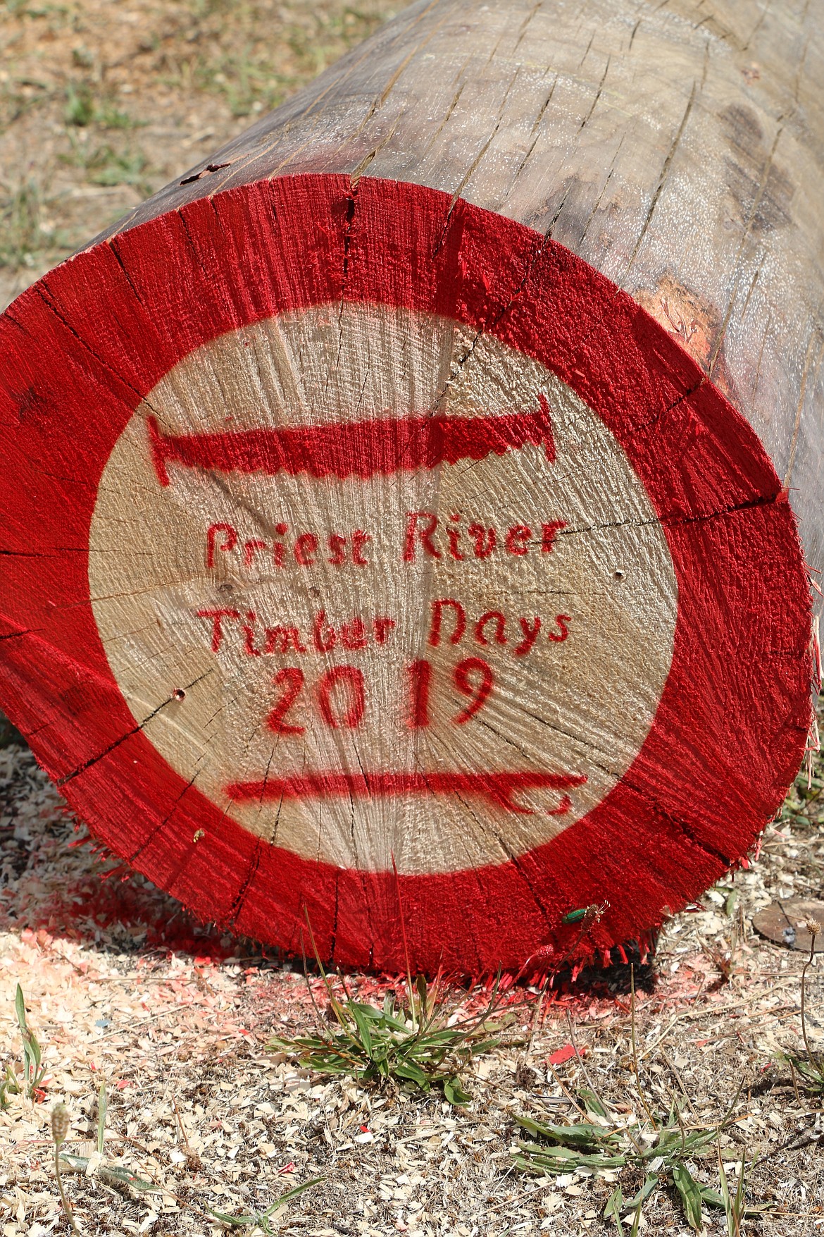 (Photo by CAROLINE LOBSINGER)
A log is marked with the logo for Priest River Timber Days 2019.