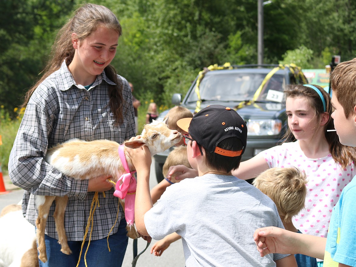 (Photo by MARY MALONE)
The Timber Days parade in Priest River would not be complete without goats stopping for attention by young parade goers.