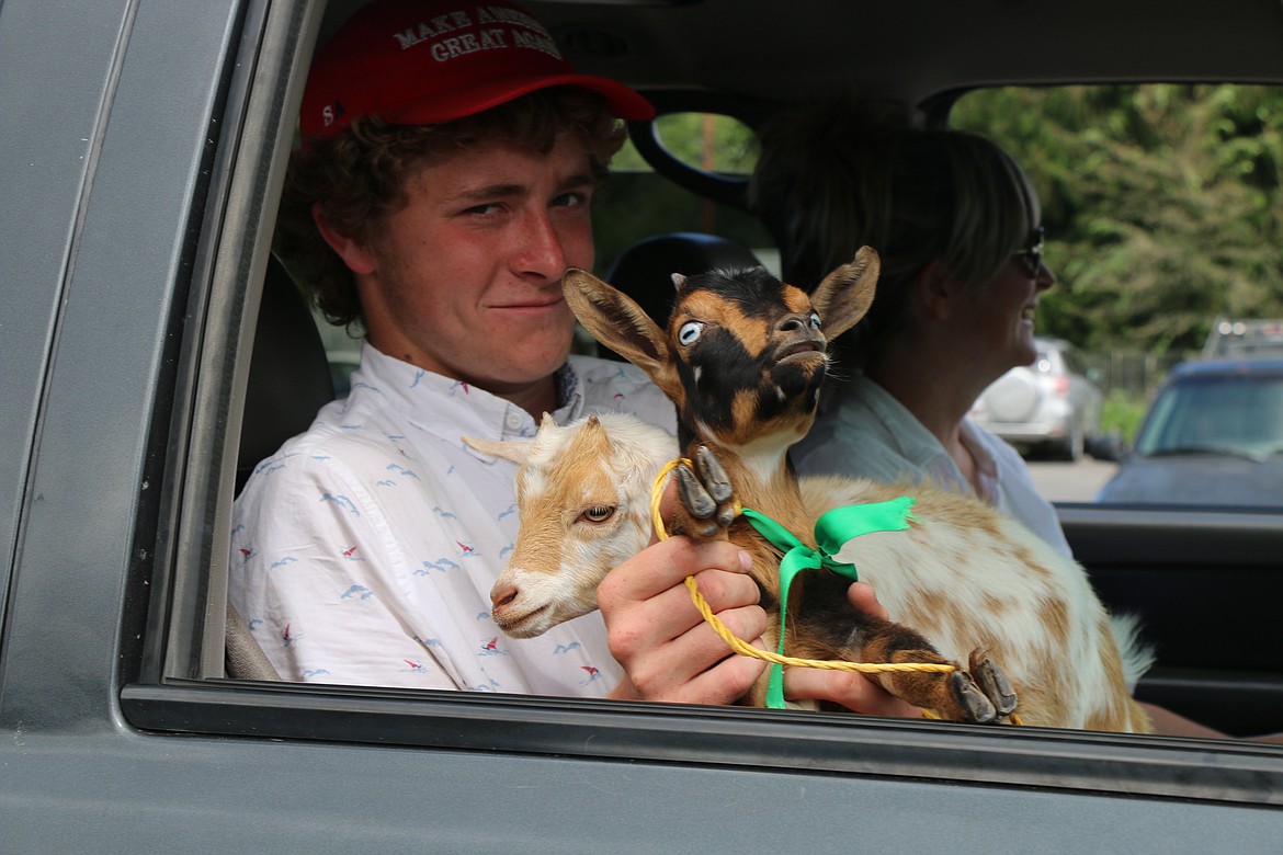 (Photo by CAROLINE LOBSINGER)
A pair of goats get their moment during the 2019 Priest River Timber Days parade on Saturday.