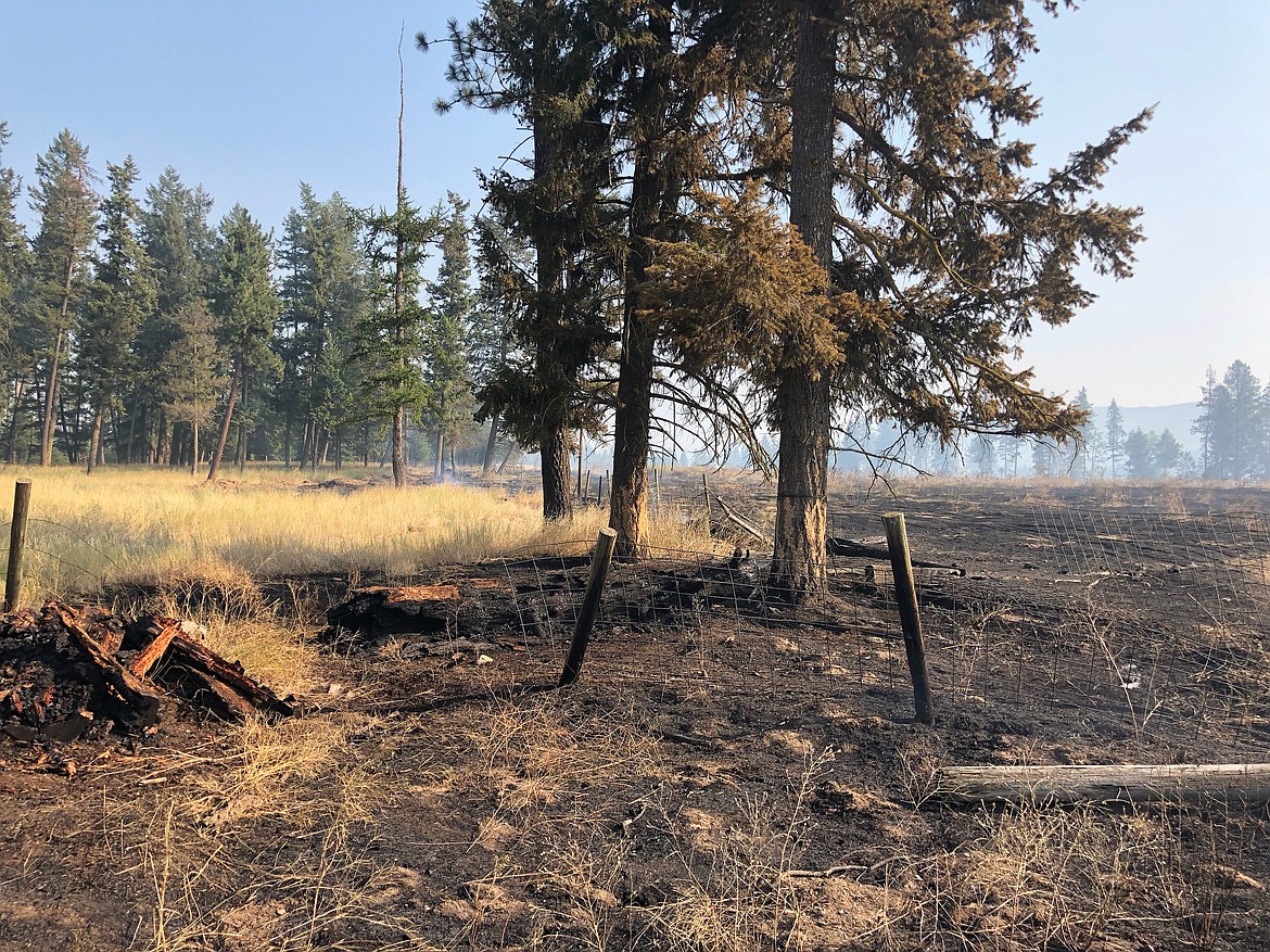 (Photo courtesy IDAHO DEPARTMENT OF LANDS)About 140 acres of grassland in the Bandy Road area between Priest River and Spirit Lake were burned in a fire, which was reported Monday. The fire remains under investigation.