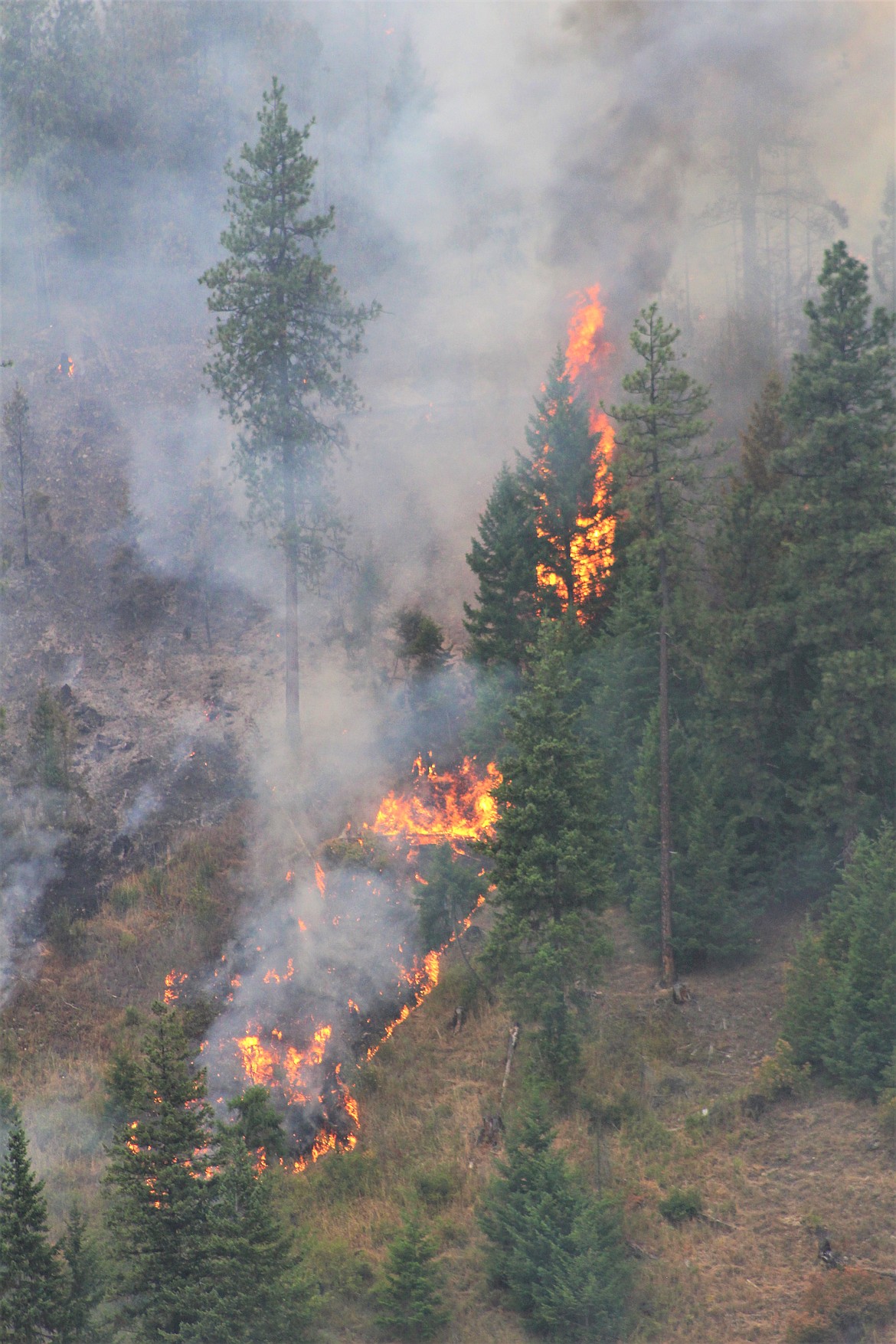 The wildfire has given crews difficulties, as much of it affecting hilly terrain.