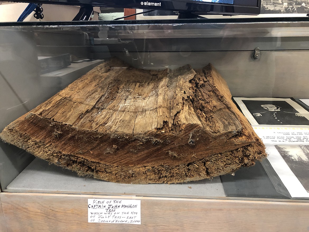 A piece of the original Mullan Tree from Fourth of July Pass.