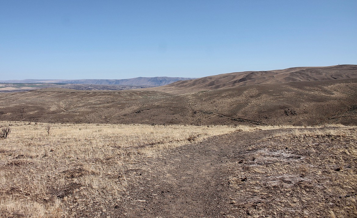 Casey McCarthy/ Columbia Basin Herald A view from atop one of the hills in the Ginkgo Petrified Forest give visitors a wide view around the area.