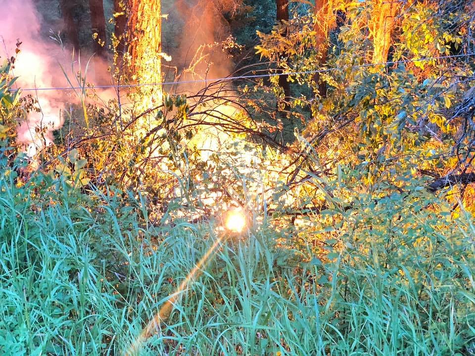 Downed powerlines caused a small grass fire in the Ninemile area Friday, August 2. (Courtesy photo)