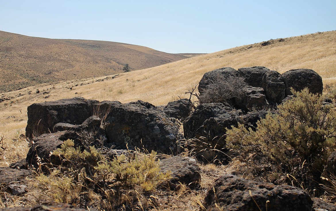 Casey McCarthy/ Columbia Basin Herald The trails at Ginkgo Petrified Forest come in at 3 miles, with a highest point of 2,600 feet.