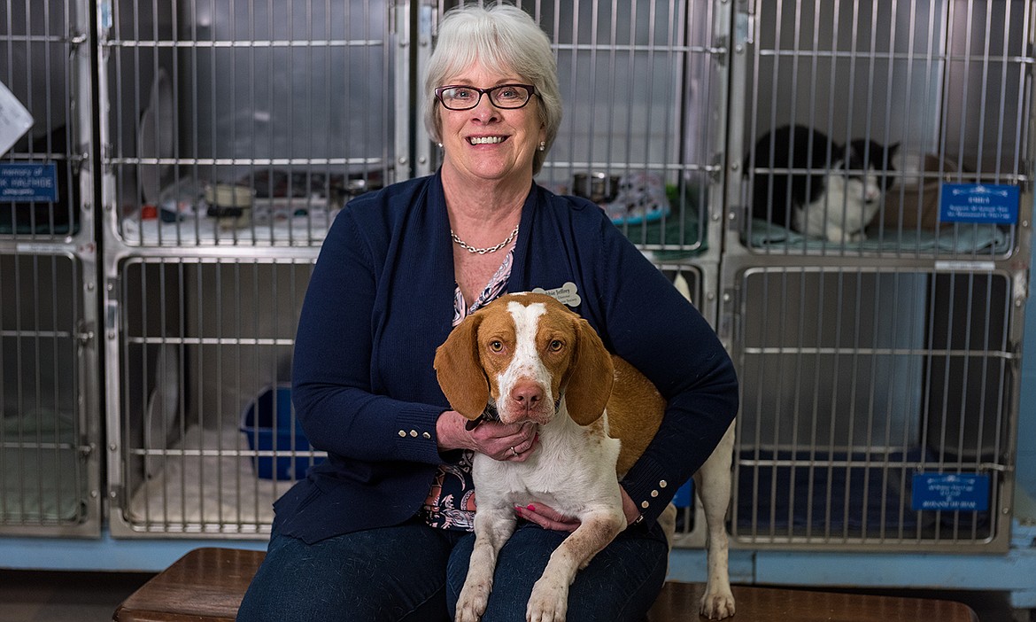 Live Well talked to executive director Debbie Jeffrey about the fundraising campaign, as well as current community needs and animal issues. (Photo/Joel Riner Photography, LLC)