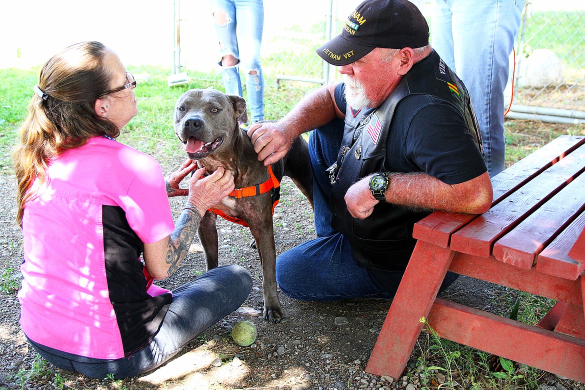 Mary Powell has been a dog tech at the Humane Society for most of the last 20 years. Today she is introducing a very calm pit bull to Jim Carroll, a Vietnam War veteran, who is looking for a service dog to be trained through a program from the Veterans of Foreign War organization. Powell rides a Harley Davidson motorcycle and plans to get a sidecar for the dog.