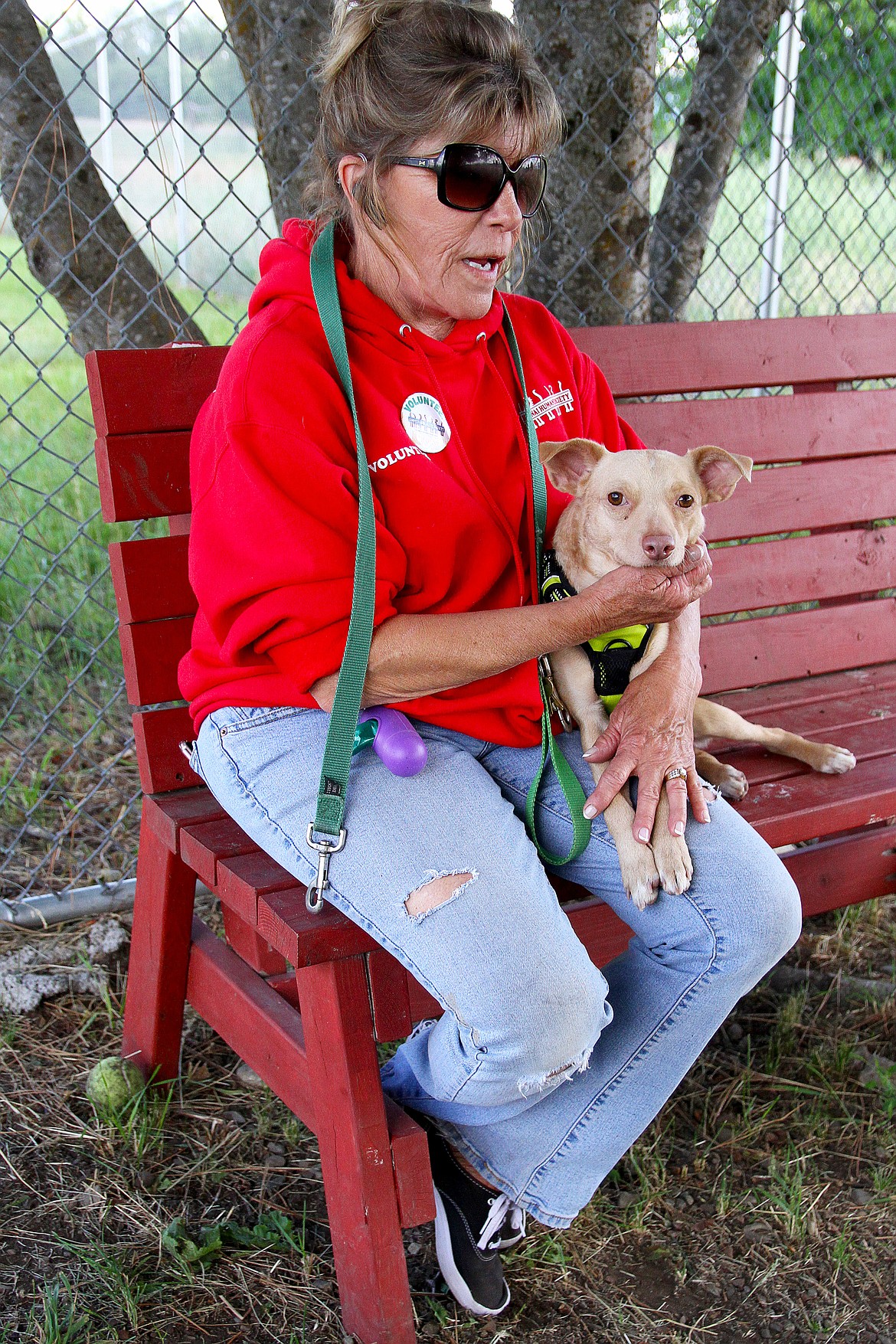 Tony Cameron has been a volunteer dog walker at the Humane Society for three years. She is working with a shy, scared dog to help him adjust to the shelter.