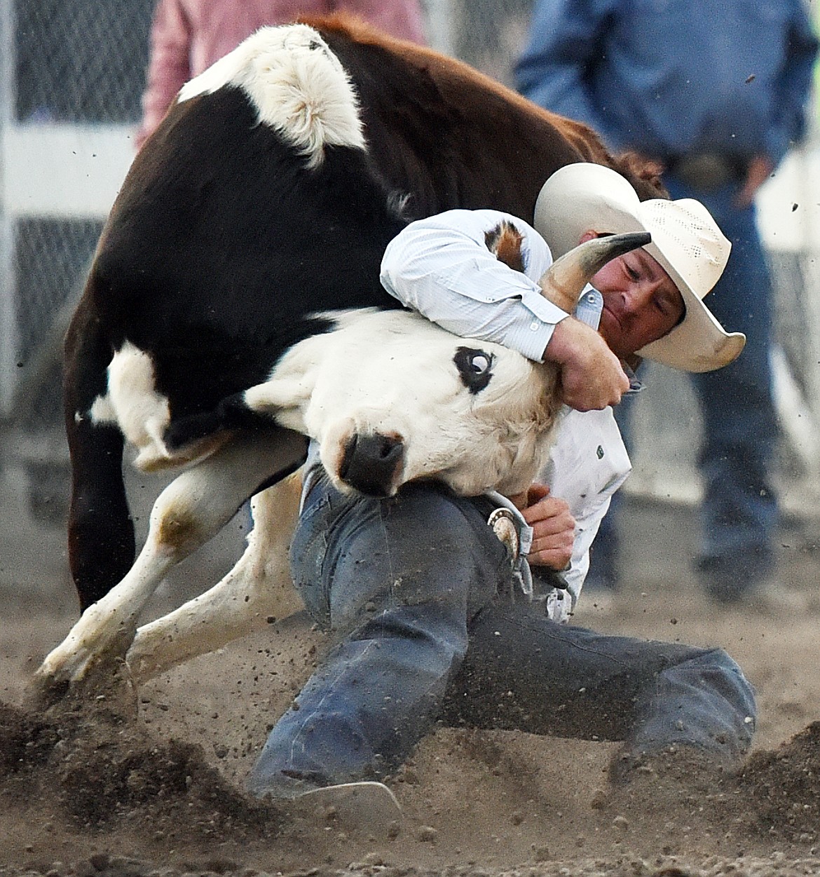 Ross Mosher, from Augusta, Montana, wrestles his steer to the ground during steer wrestling at the Northwest Montana Fair PRCA Rodeo at the Flathead County Fairgrounds on Saturday. (Casey Kreider/Daily Inter Lake)