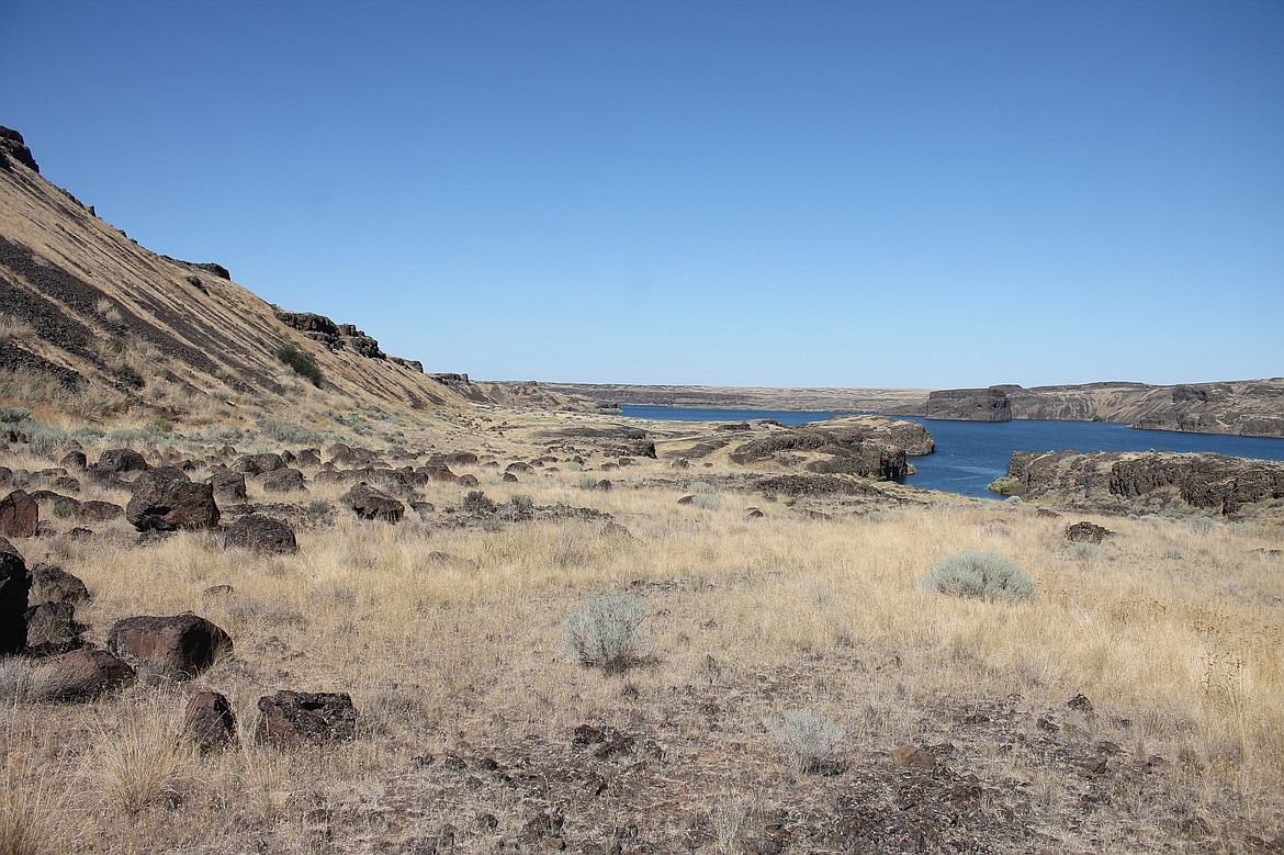 Casey McCarthy/ Columbia Basin Herald The grasslands that sit above the lake are frequented by a number of different wildlife species.