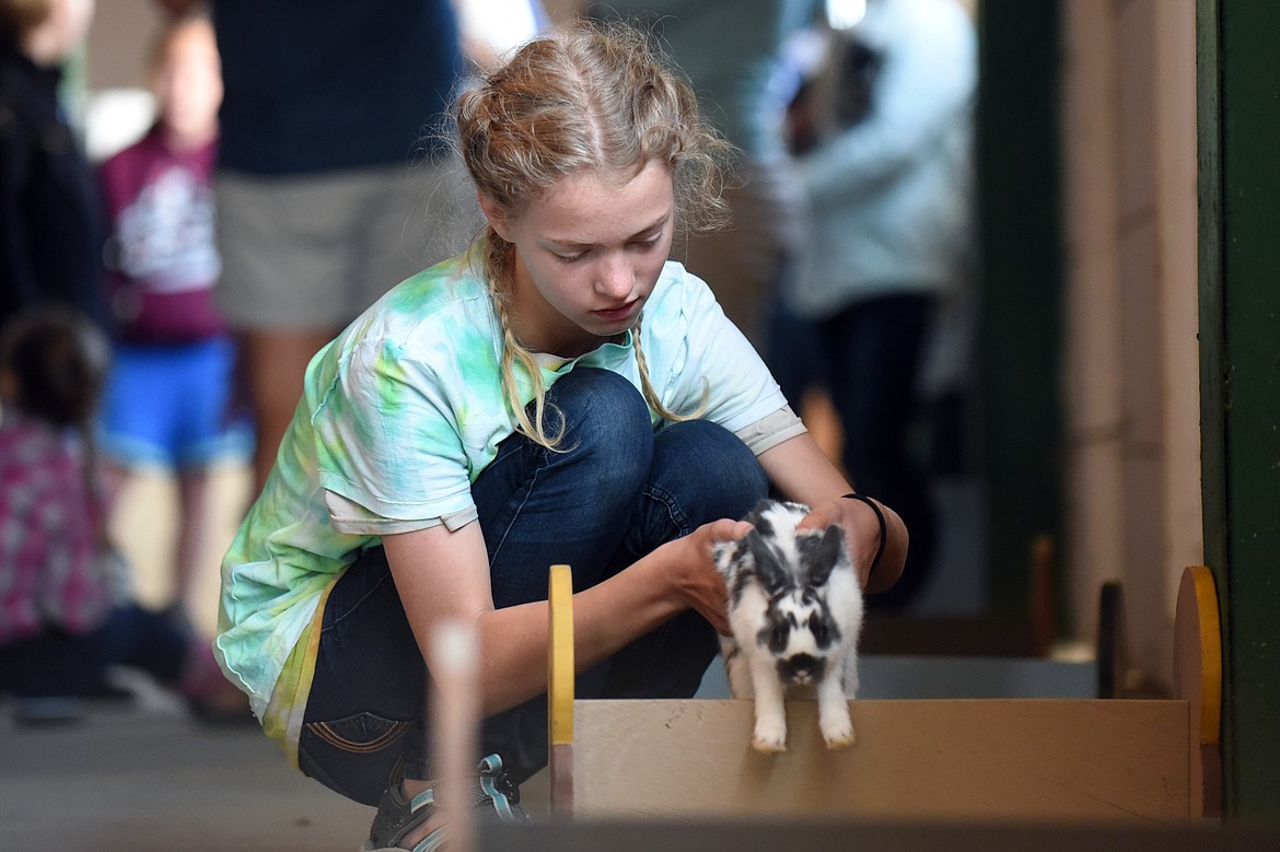 Lux Bain, 12, of Coram, helps her rabbit Squishy over a jump in the Rabbit Hopping Competition at the Northwest Montana Fair &amp; Rodeo on Thursday. (Casey Kreider/Daily Inter Lake)