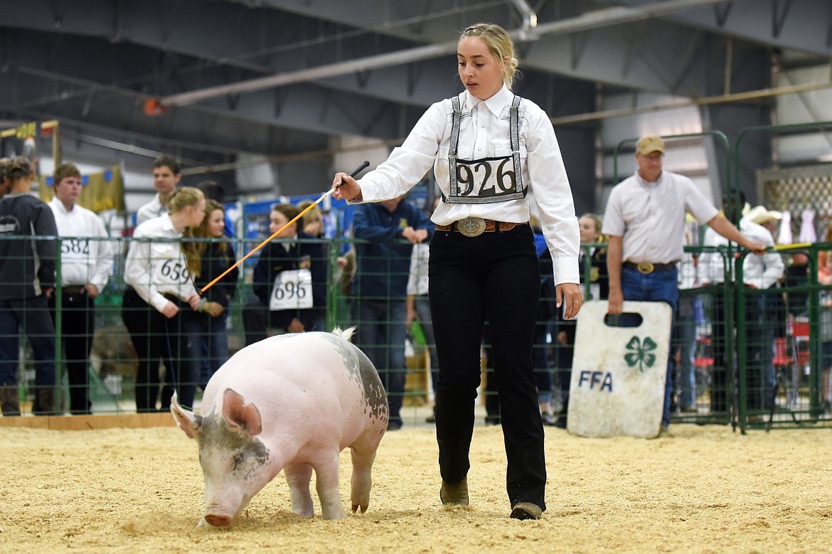 4-H showmen know hogs can have a mind of their own