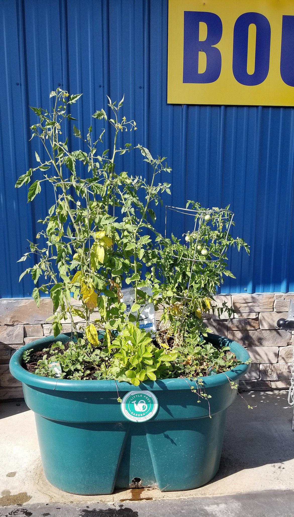 Photo by MANDI BATEMAN
A Little Free Garden set up and maintained by Boundary Tractor.