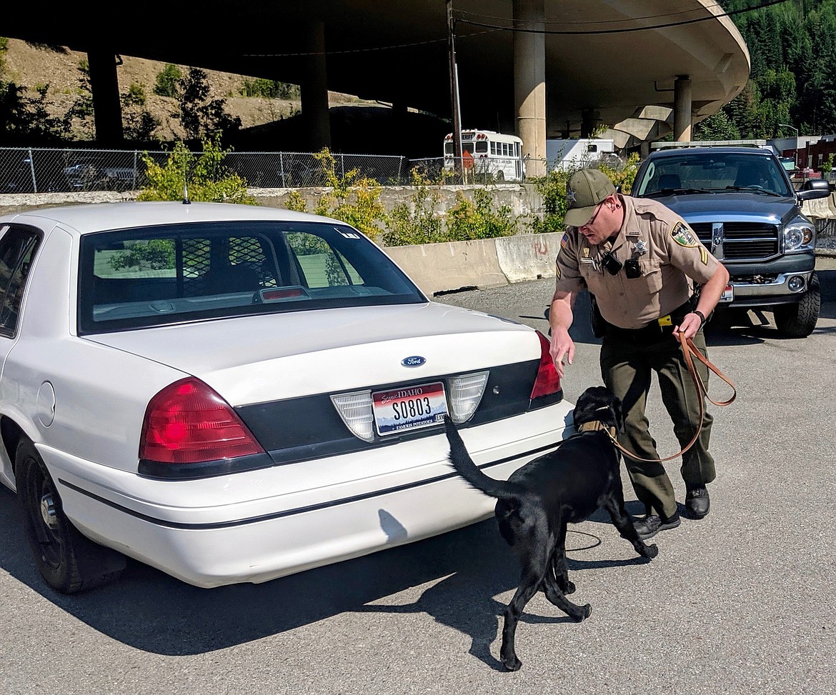 Cpl. Dustin and Midnight conduct a training exercise behind the Shoshone County Sheriff&#146;s Office in Wallace. Dustin had hidden an amount of ScentLogix training scent on the vehicle. Midnight is trained to passively alert when he finds something, meaning that upon a discovery, he will quickly (almost abruptly) sit and look at Dustin.