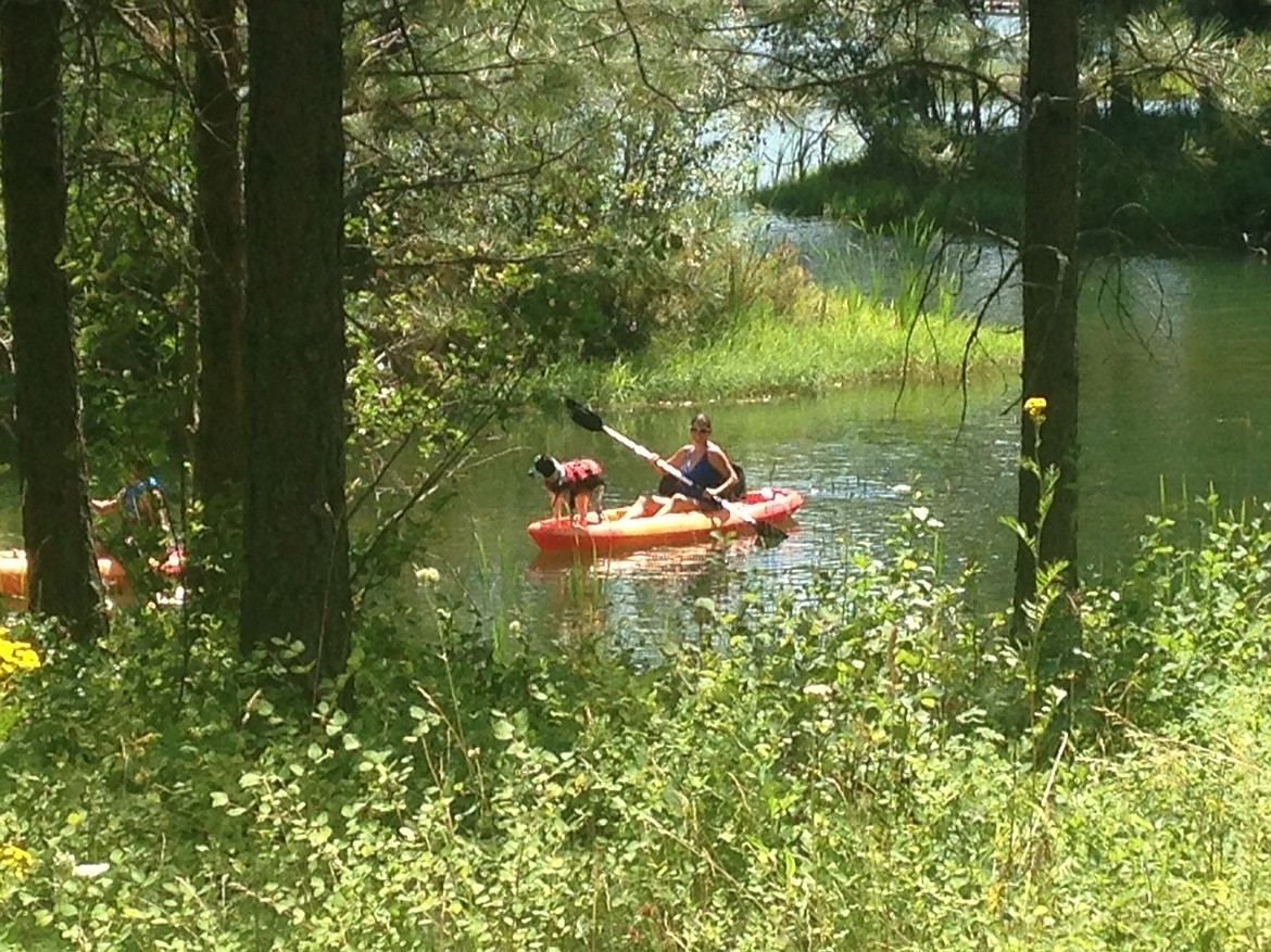 Photo courtesy of DOVER BAY DEVELOPMENT
Kayak and canoe private inlets in Estuary Forest and the Dover Bay community.