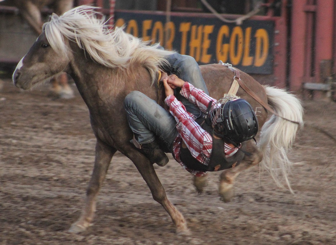 A rider barely hangs on during the Go For the Gold Rodeo on Saturday, August 3. (Maggie Dresser/Mineral Independent)
